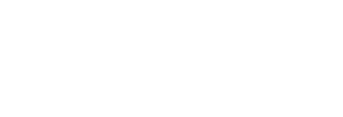Núcleo Parceiro